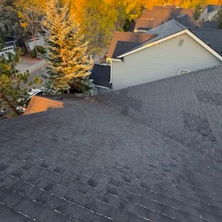 Close-up of new architectural shingles after full-field replacement