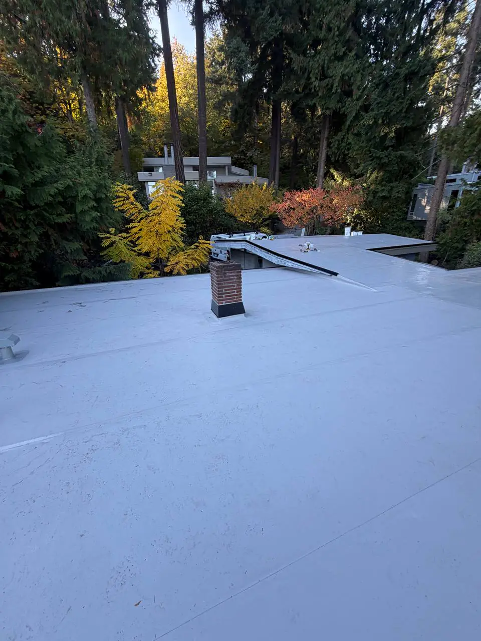 TPO roof detail 3 from a Greater Seattle membrane project for Bothell