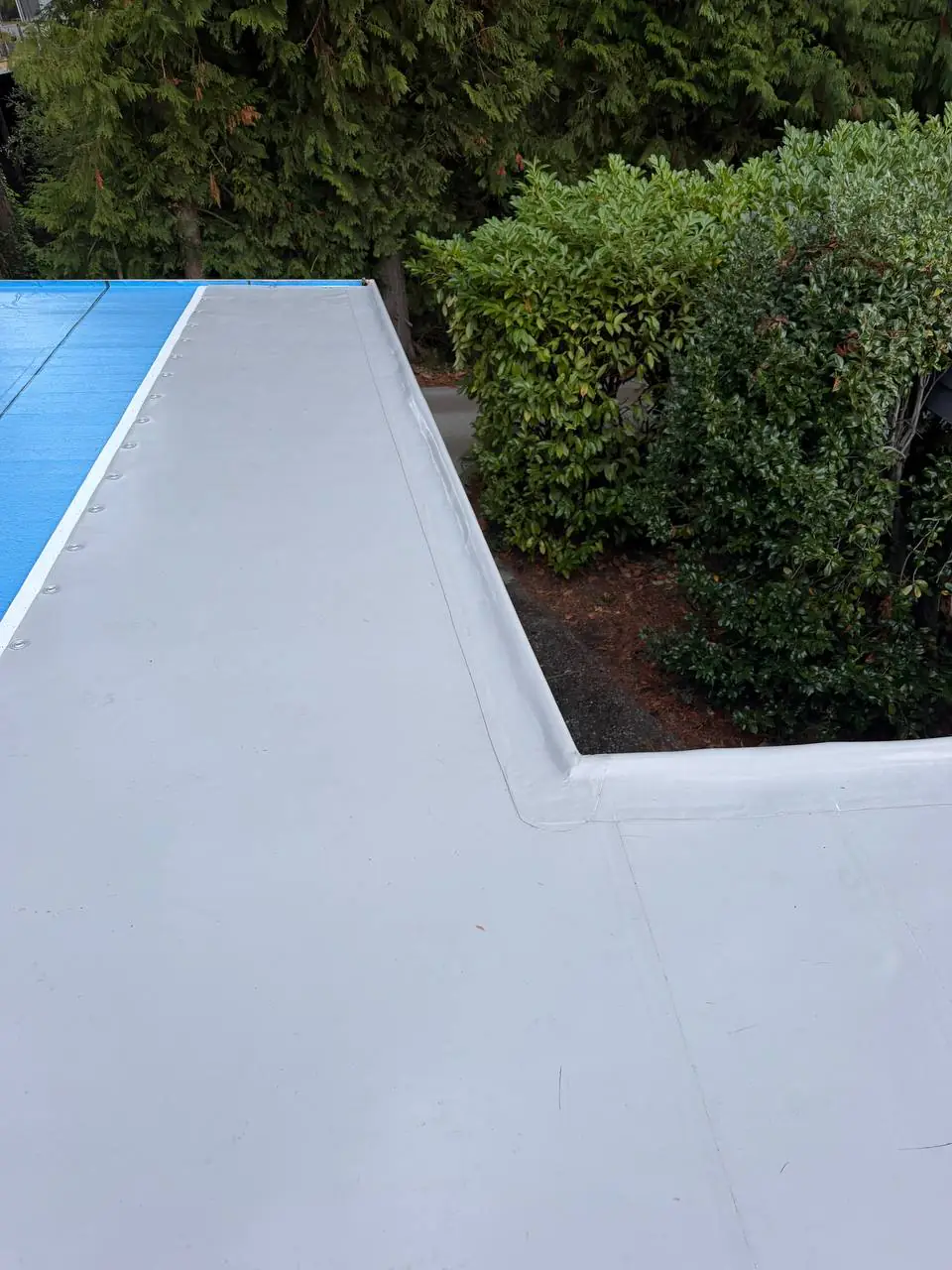 TPO roof detail 4 from a Greater Seattle membrane project for Everett