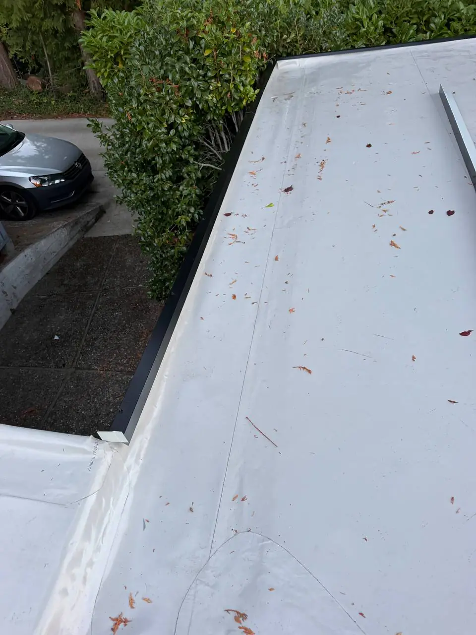TPO membrane field after repair work serving Everett