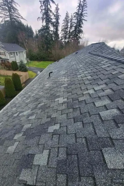 brand-new-roof-shingles