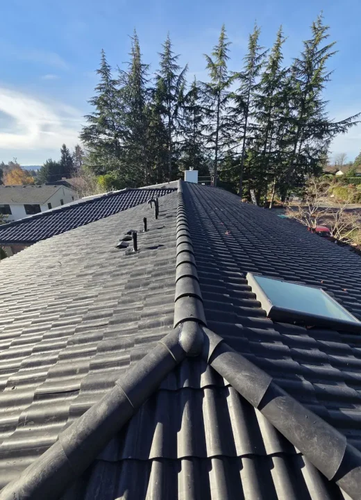 brava-tiles-roof-installation