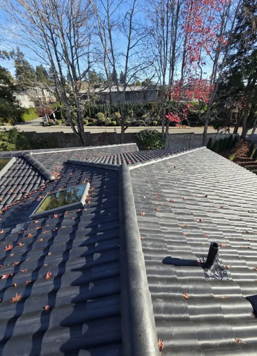 brava-tiles-roof