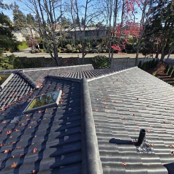 brava-tiles-roof