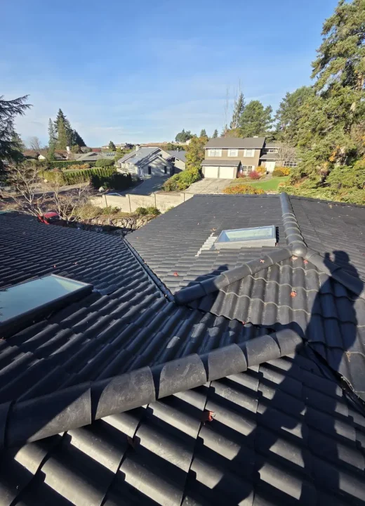 brava-tiles-roofing