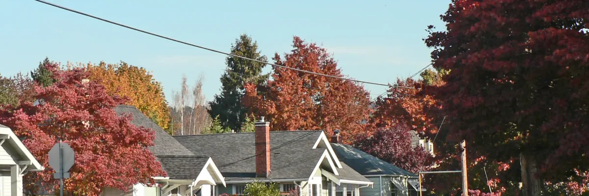 roofers-in-sumner