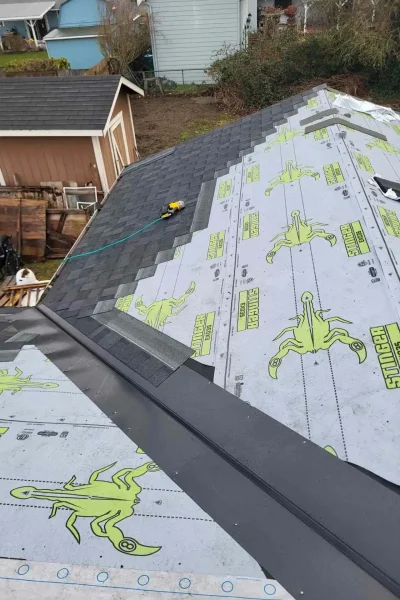 roofing-specialists